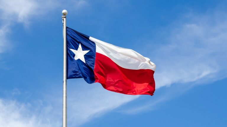 texas flag